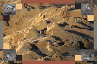 An der Grenze zwischen Meer und Sand.