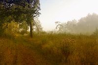 Engbertsdijksvenen 12