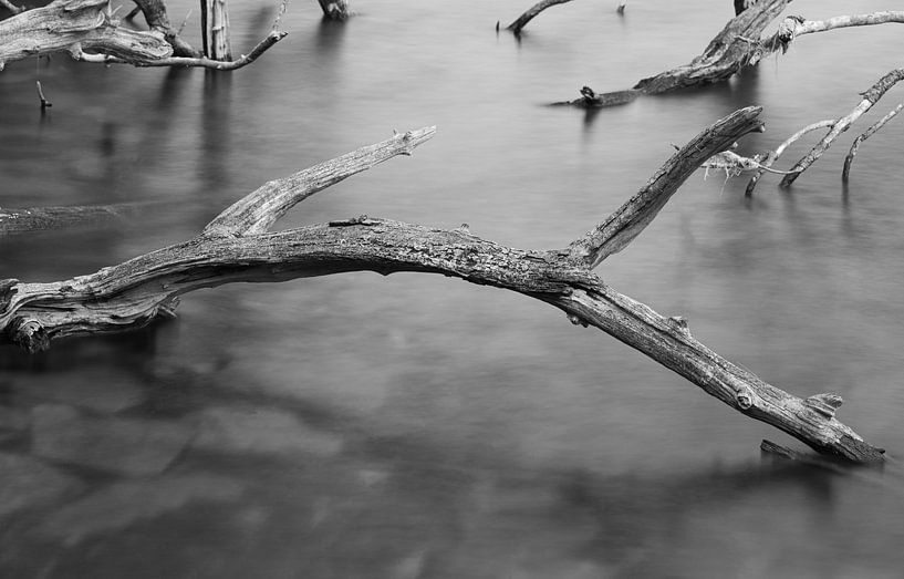 Killarney National park (Ireland) by Marcel Kerdijk
