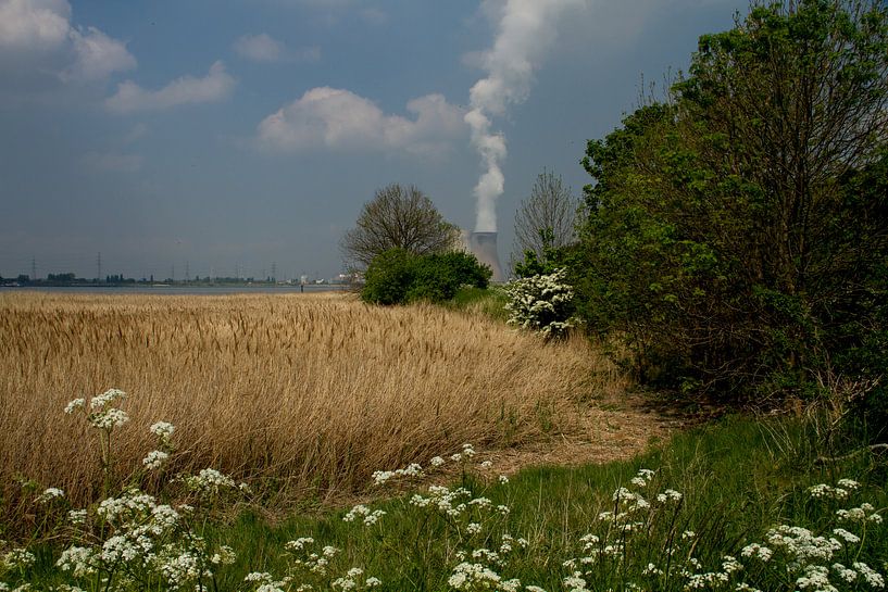 Kerncentrale Doel von Abra van Vossen