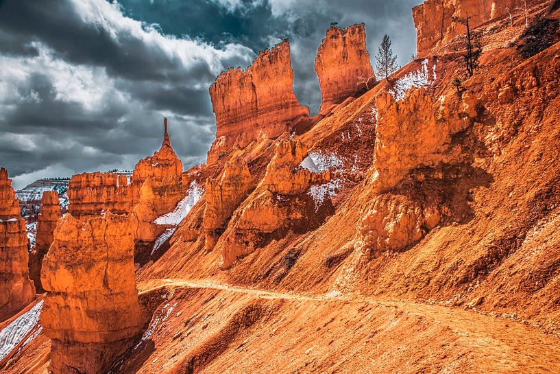 Walkway through Bryce Canyon, Utah by Rietje Bulthuis