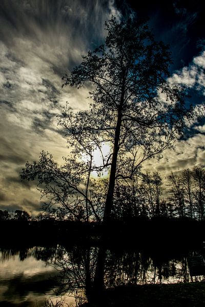 Gavers bij storm par Ronald De Neve