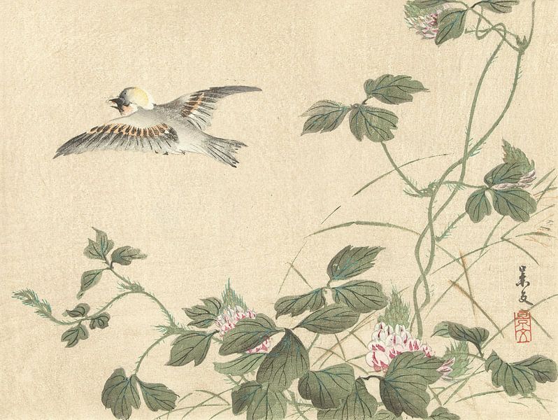 Vogel fliegt weg in der Nähe von Weinstock mit rosa Blumen von Matsumura Keibun - 1892 von Gave Meesters