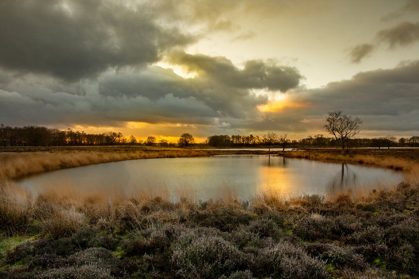 Pingo im Brunstingingerveld von Arie Flokstra Natuurfotografie
