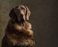 Sep in Legenden des Herbstes