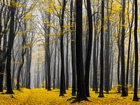 Goldener Wald
