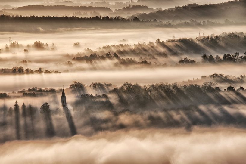 Light by René Pronk