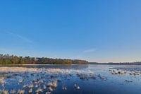 Het Leersumse Veld op een vroege winterochtend