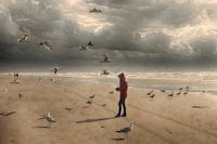 Strand  zee en meeuwen