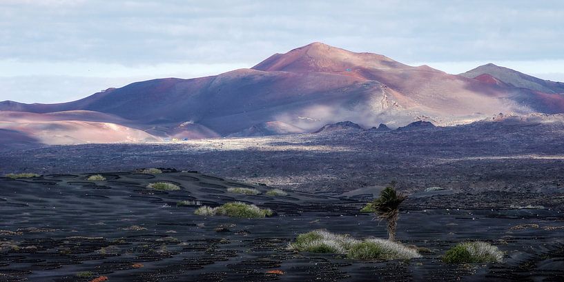 Lanzarote by Mario de Lijser