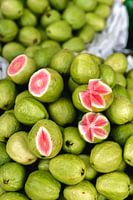 Fruit tropical goyave | Couleurs vives | Vert et rose