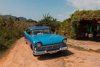 Cuba Oldtimer 04