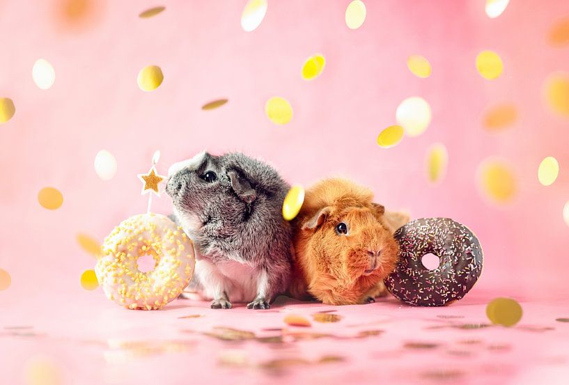 Meerschweinchen-Party von Marloes van Antwerpen