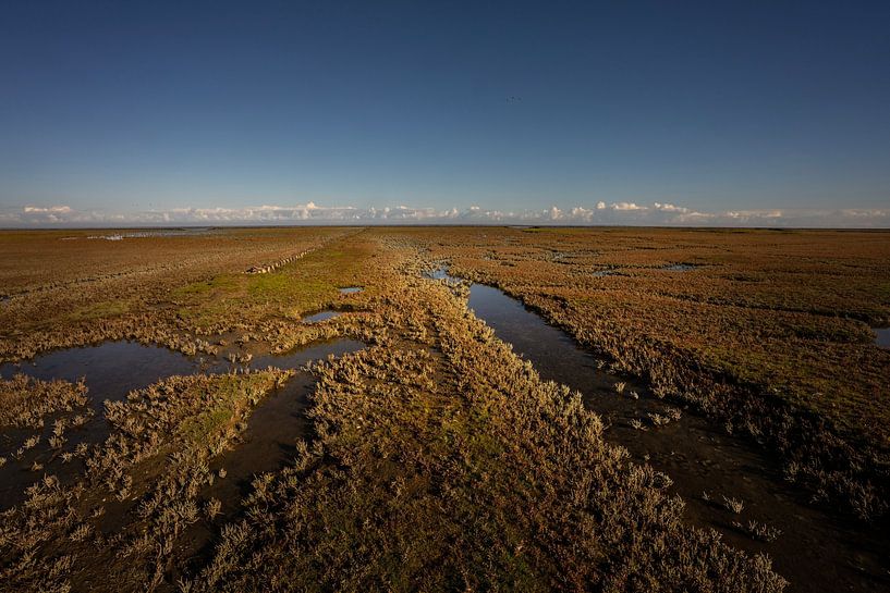 Vast salt marsh on Groningen's Wadden coast by Bo Scheeringa Photography