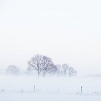 WinterMist