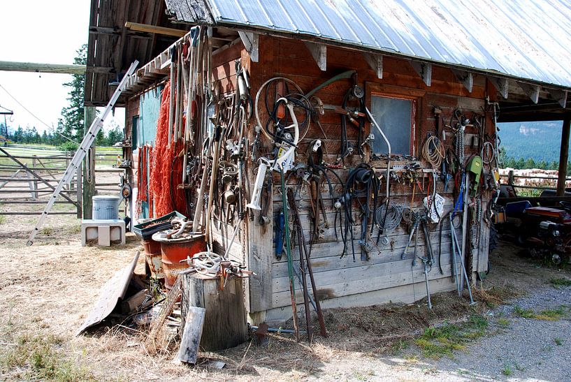 RADIUM HOTSPRINGS BC CANADA by Roelof Touw