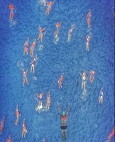 Le nageur "High Flyer"