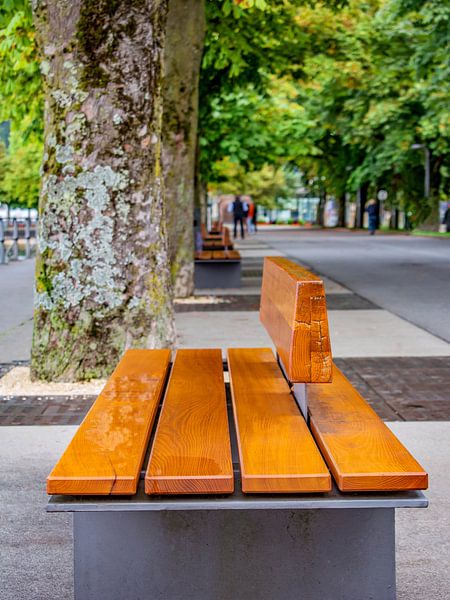 Austria : Seating at the lake promenade Bregenz by Photoart-Naegele