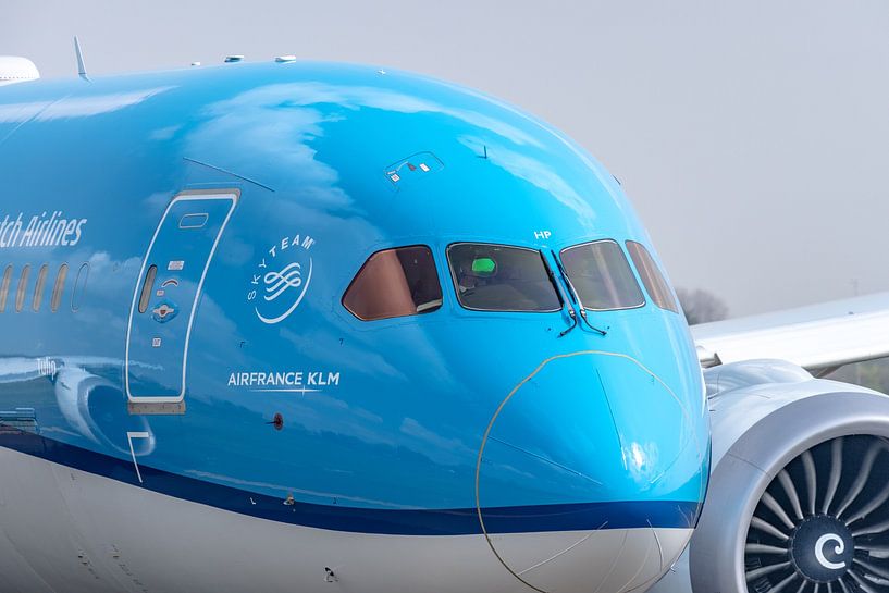 KLM Boeing 787-9 Dreamliner &quot;Tulp&quot; (PH-BHP). von Jaap van den Berg