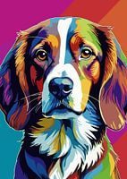 Kooikerhondje Hond Pop Art Stijl