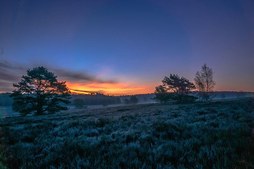 Landes de Wesel par Dieter Rabenstein