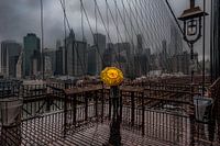 Parapluie jaune sur le pont de Brooklyn