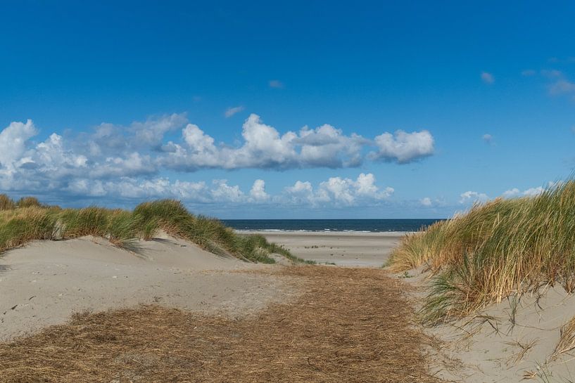 Terschelling by Annette van Dijk-Leek