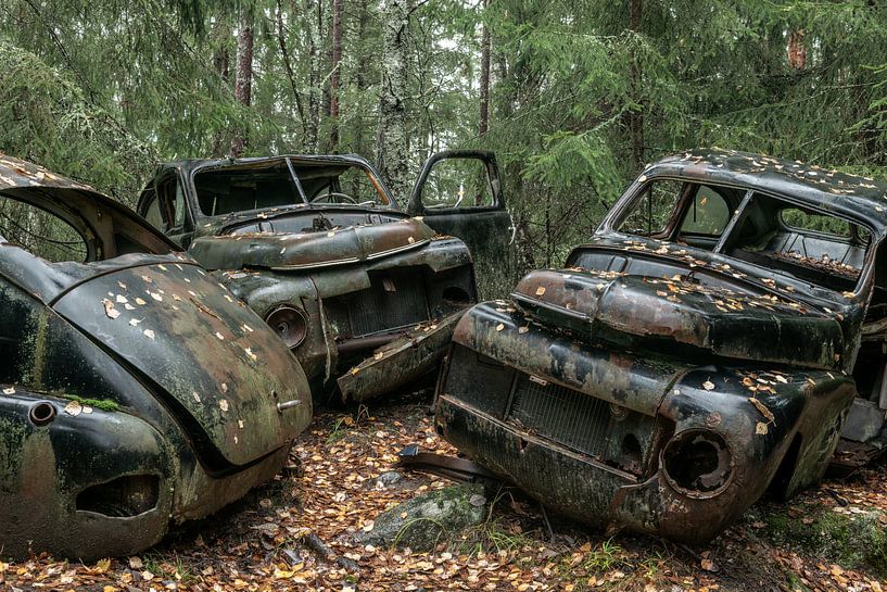 Die Schönheit des Verfalls IV von Gerry van Roosmalen