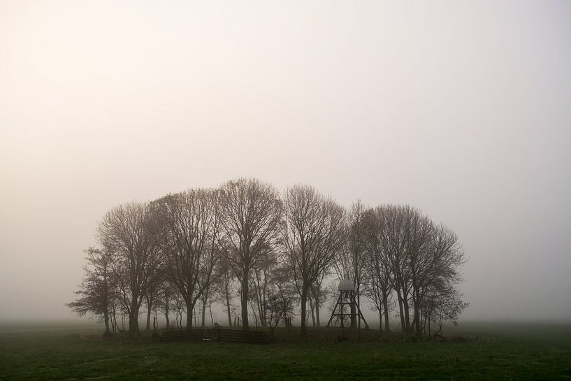 Isolated cemetery with bells in fog. by Peter Bouwknegt