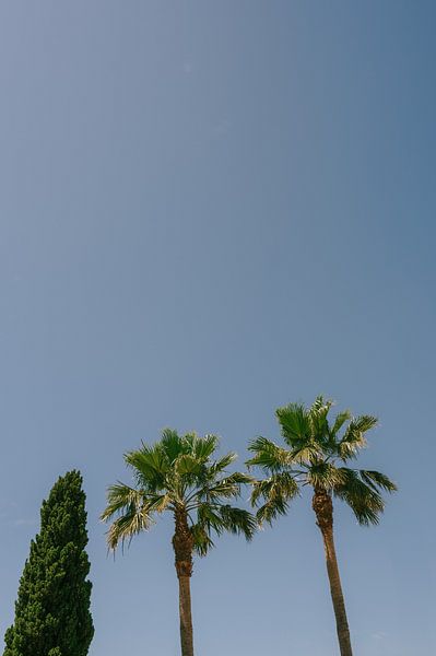 Harmonie naturelle en Algarve par Mélanie Roelandts