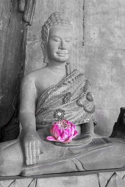 Lotus blossom in the light of eternity by Walter G. Allgöwer