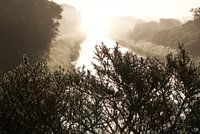 De Zilk in the Netherlands