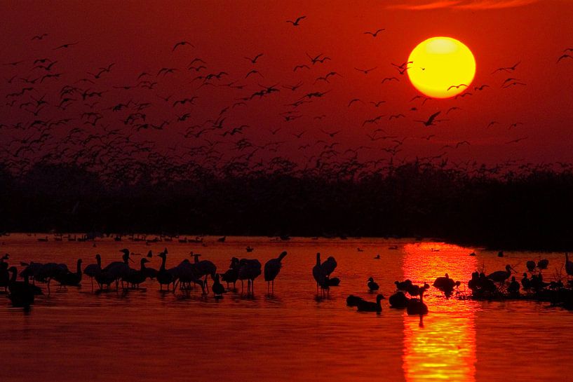 Sunrise above  Lake Csaj, Hungaria by AGAMI Photo Agency