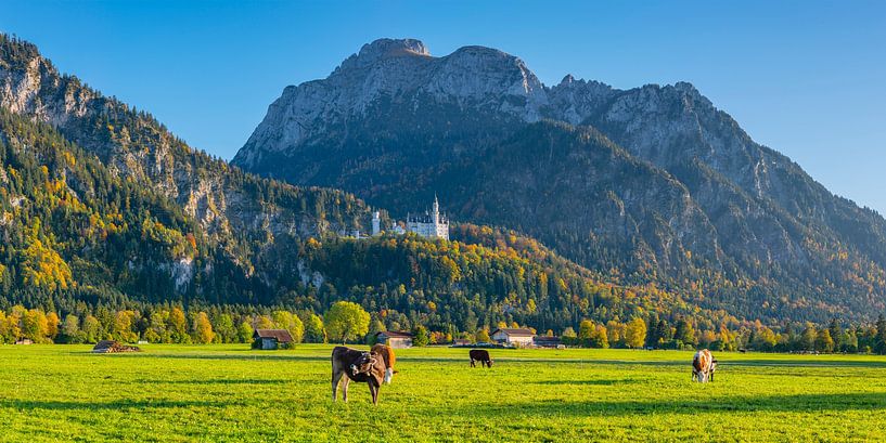 Neuschwanstein par Walter G. Allgöwer