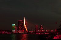 Red Rotterdam