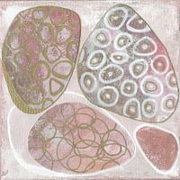 Organic Abstract Circles | Collage