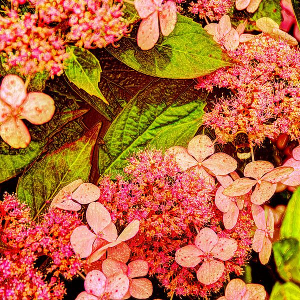 Digital Art Medium Fleurs par Hendrik-Jan Kornelis