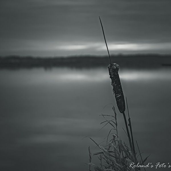 Herzliches Beileid @ t Roegwold von Roland's Foto's