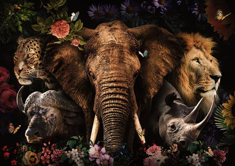 Les cinq grands par Bert Hooijer