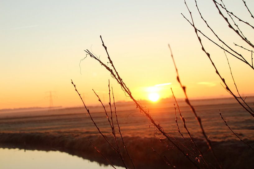 Prachtige zonsopkomst par Janno blok