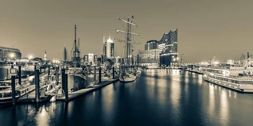 Le port de Hambourg avec l'Elbphilharmonie à Hambourg - Monochrome par Werner Dieterich