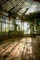 Verlassene Orangerie in Frankreich