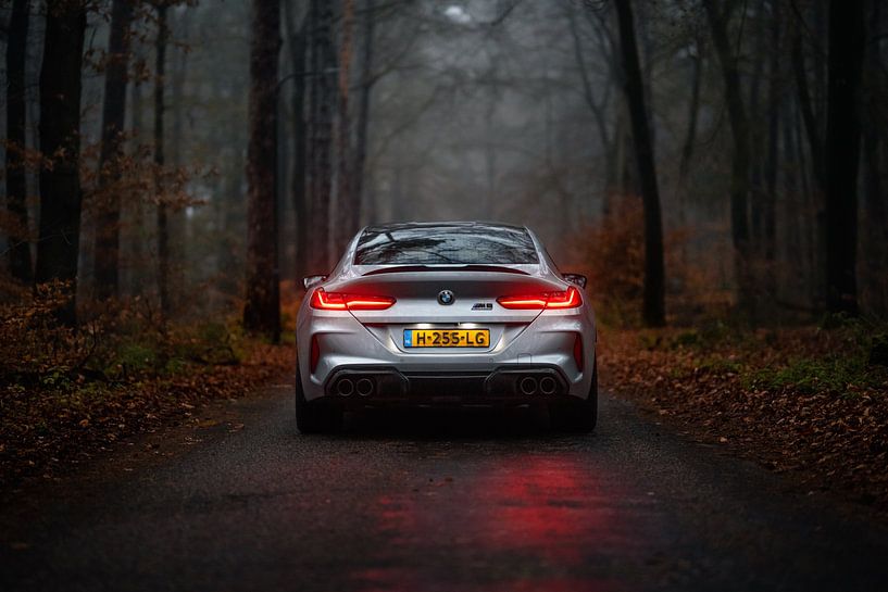 BMW M8 Competition Gran Coupé in het bos van Automotive Photography