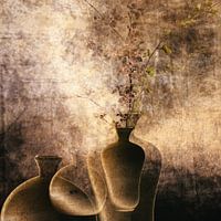 Silent Echoes: Where Old Beauty Finds New Life