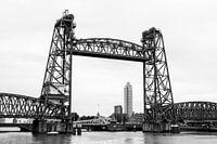 Le Hef en noir et blanc