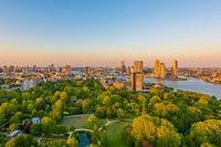 Rotterdam Skyline