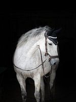 In Anbetracht der stabilen