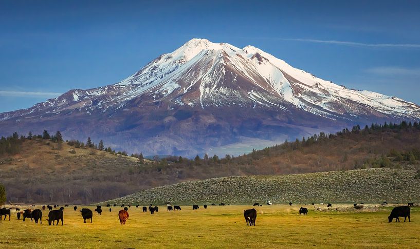 Mount Shasta view by Remco Piet