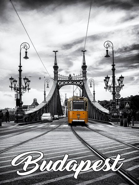 Budapest - Liberty Bridge with historical tram by Carina Buchspies