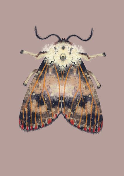 Motte mit roten Punkten auf farbigem Hintergrund von Angela Peters